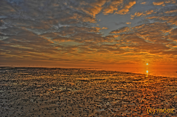 _MZ20837hdr