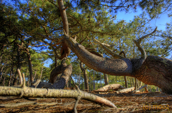 _MZ21586_hdr