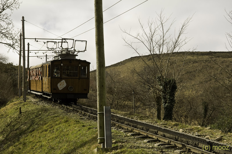 _MZ39080