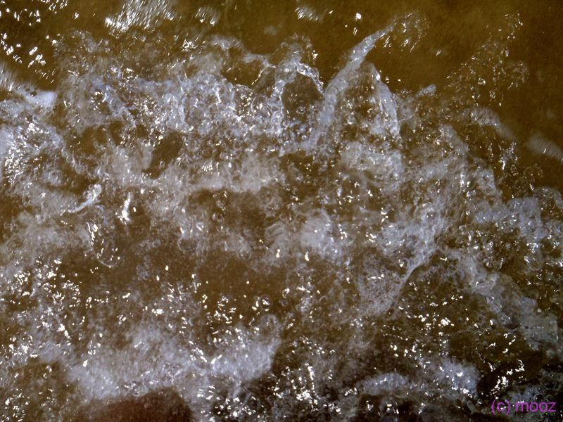 P5230172