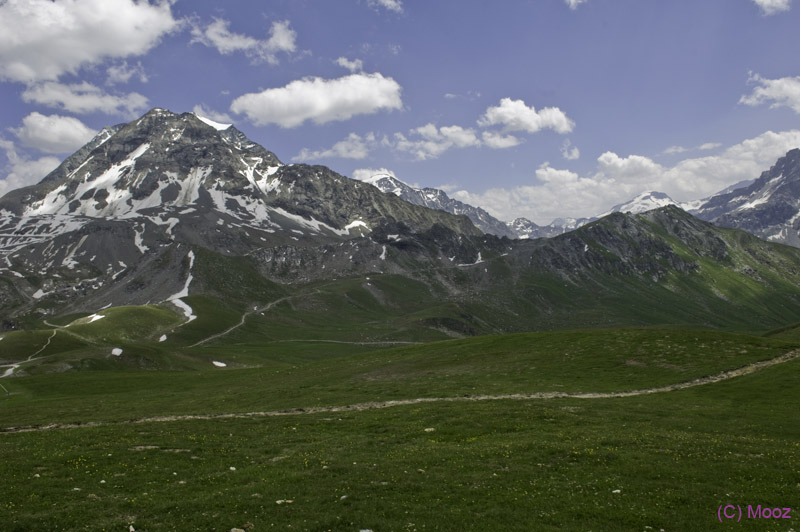 _MZ39485
