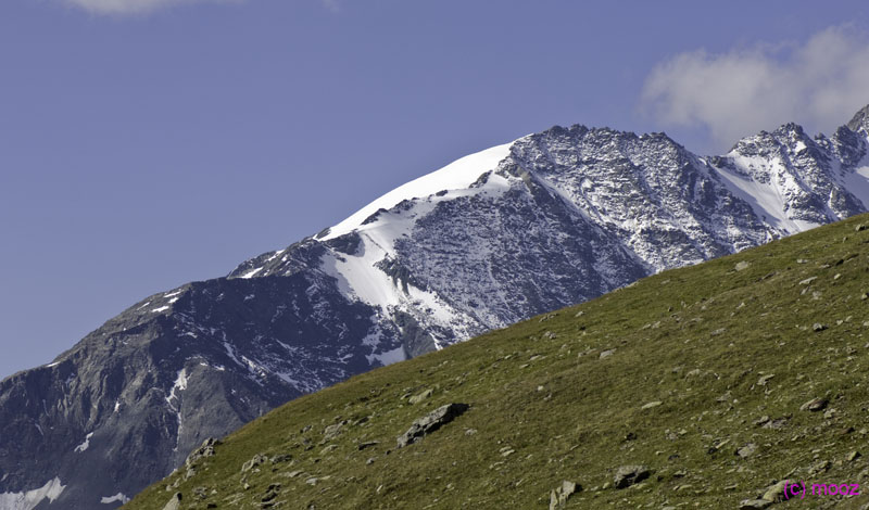 _MZ43940