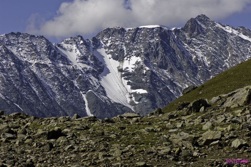 _MZ43943