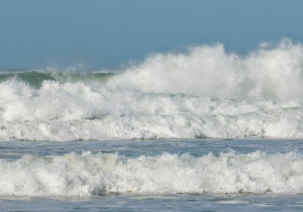 Un rayon de soleil en février 2014 et une plage bien souillée