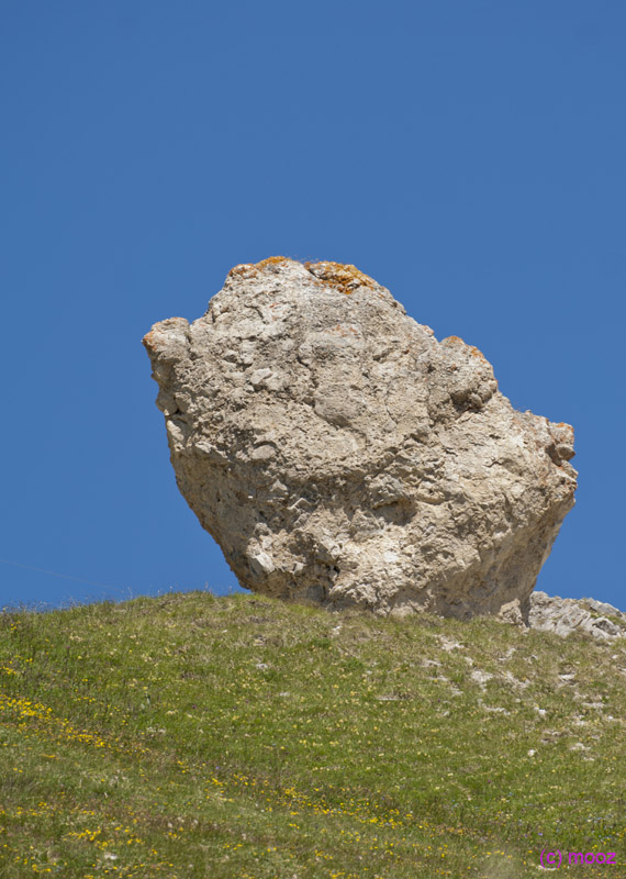 _MZ47092
