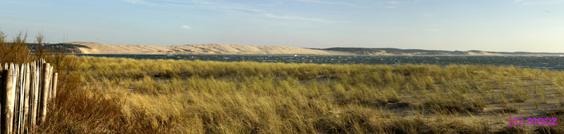 La dune