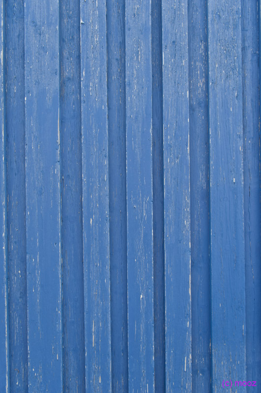 _MZ47498