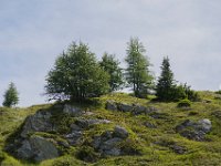 MZ52733