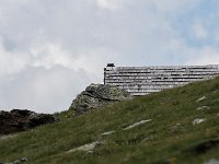 MZ53375