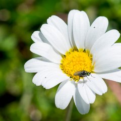 _DSC8660