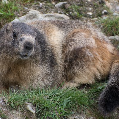 _DSC8625