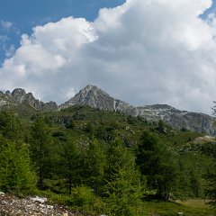_DSC8557