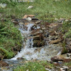 _DSC8675