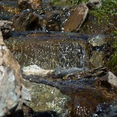 _DSC8676